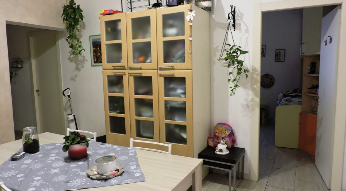DSCN3111